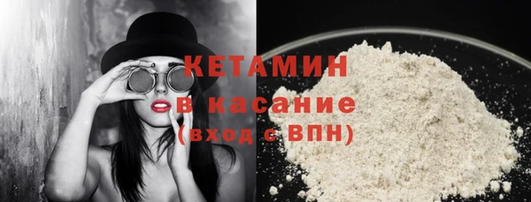 сатива Балахна