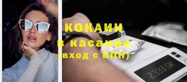 сатива Балахна