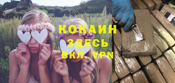 сатива Балахна