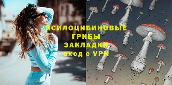 сатива Балахна