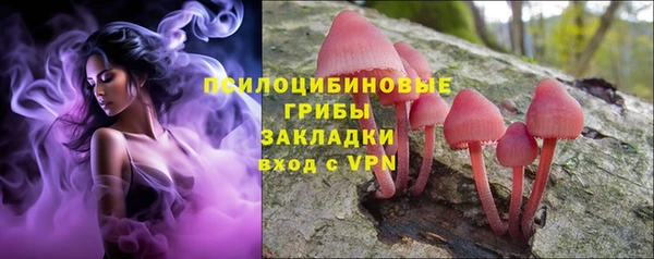 гашик Карталы