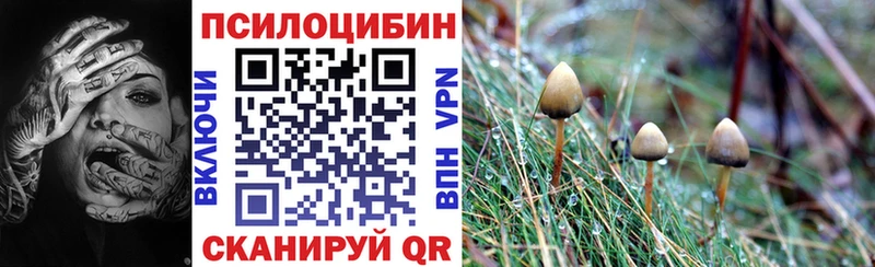 где найти наркотики  Ликино-Дулёво  Галлюциногенные грибы Magic Shrooms 